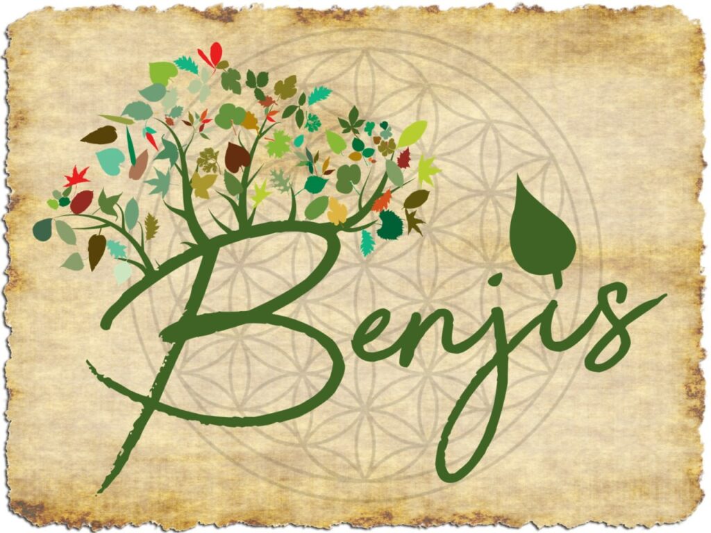 Benjis Logo